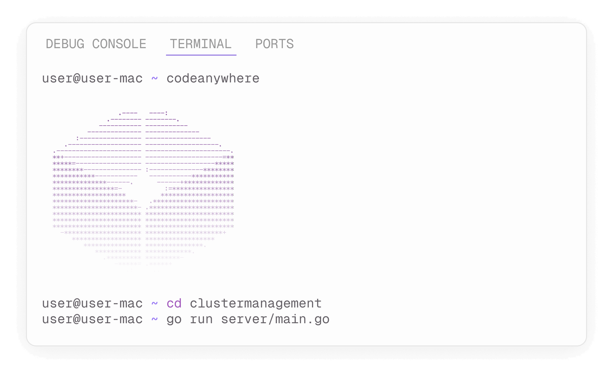 Web based terminal